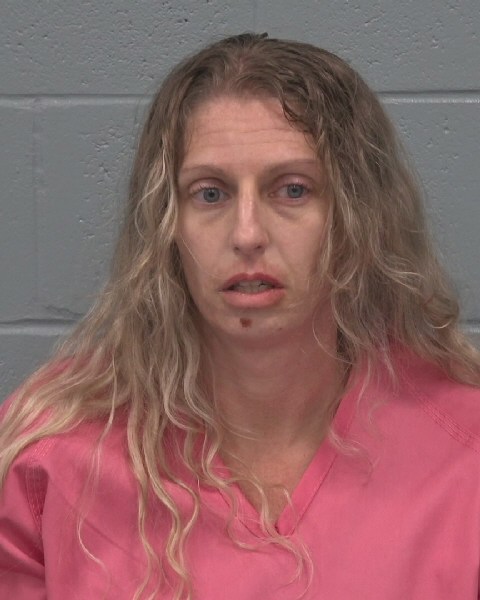 Mugshot of AISCHLIN MILLER VINCENT