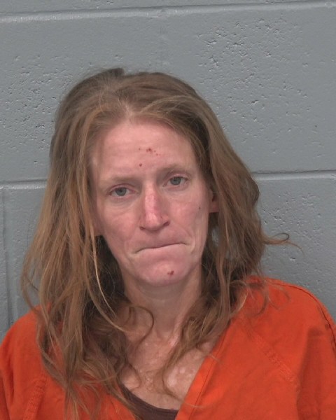 Mugshot of GRACE ELLEN HOMAN