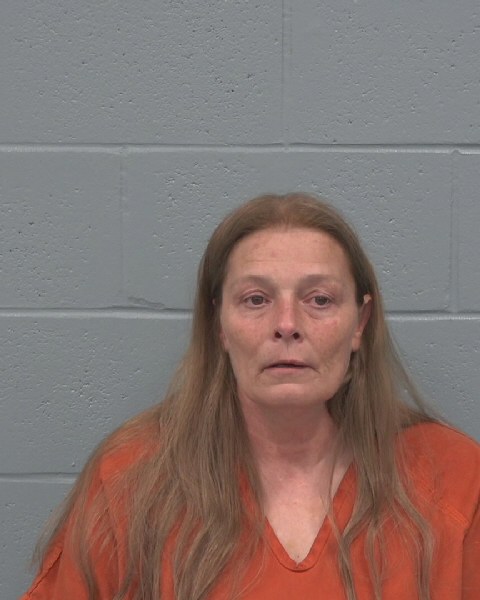 Mugshot of KELLY ANN COE