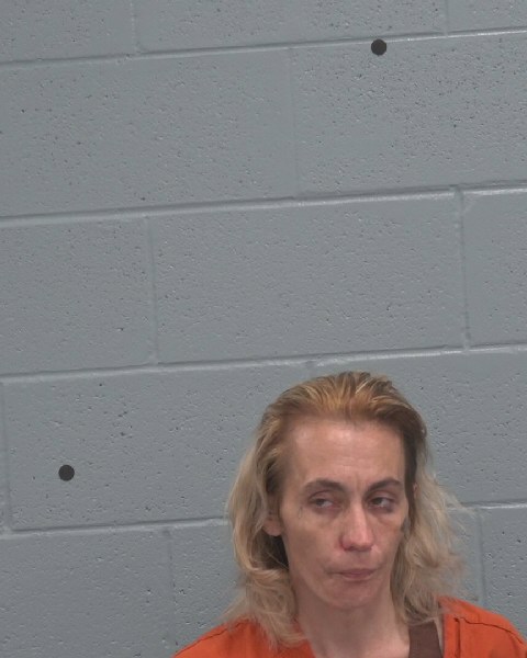 Mugshot of DAWN JENNIFER LEE DUNN