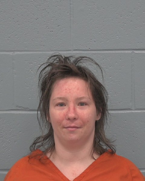 Mugshot of BRITTANY ASHLEY SHEFFIELD