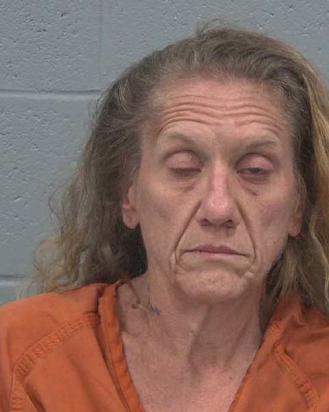 Mugshot of JENNIFER RENEA COLLINS