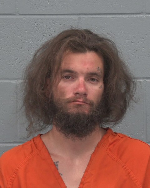 Mugshot of PAUL HENRY JR ELLIS