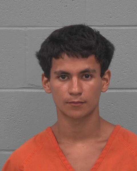 Mugshot of NELSON MENDIETA-ARITA