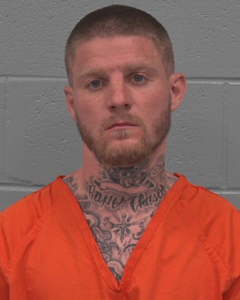 Mugshot of KEVIN MCDONALD WILSON