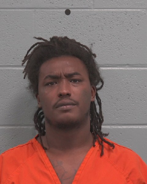 Mugshot of IRVIN LEE