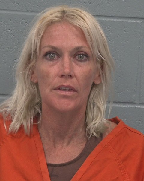 Mugshot of LESLIE ANN WATSON-MCLAUGHLIN
