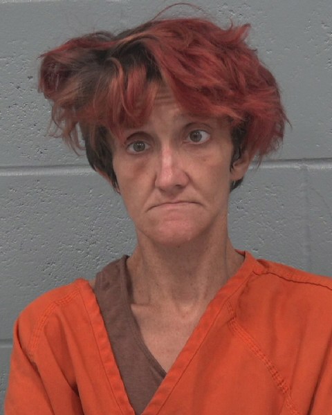 Mugshot of CHRISTIN LYAN DRURY