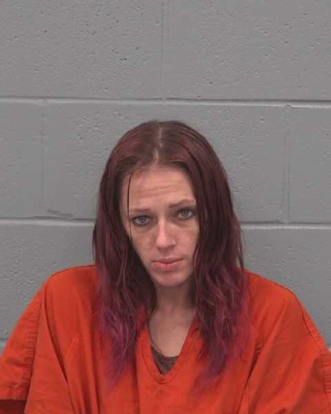 Mugshot of DANIELLE LEA DEVAULT