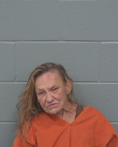 Mugshot of JAYNA RUTH SIMMONS