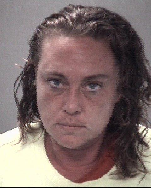 Mugshot of HANNA MAE DODSON