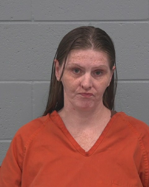 Mugshot of CRYSTLE MARIE ERICKSON