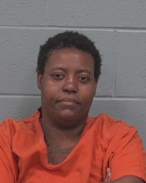 Mugshot of ARTHENA LASHELL FORD