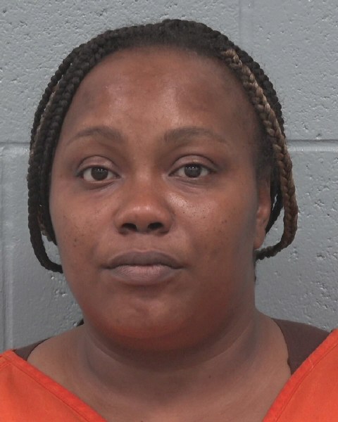 Mugshot of BERNISHA LATESHA HORNE