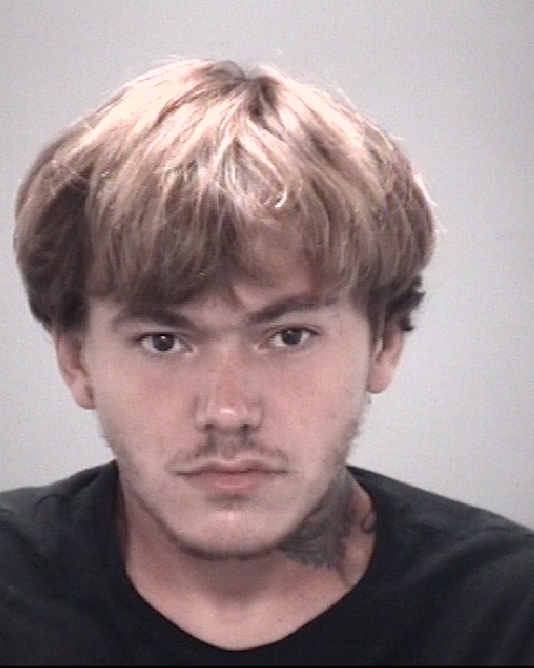 Mugshot of DAVID MICHAEL MARVULLI-FERNANDEZ