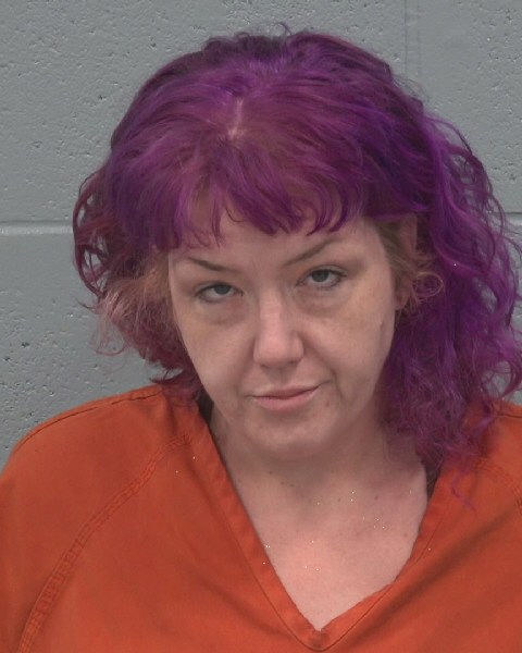 Mugshot of HEATHER MARIE WIZBICKI
