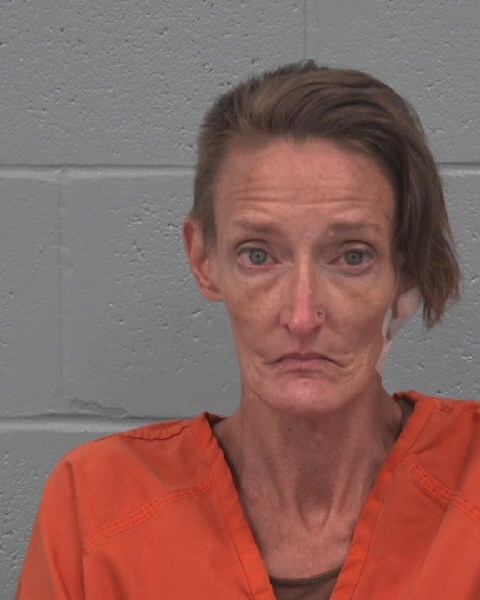 Mugshot of MICHELLE LEE BERBERIAN