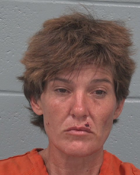 Mugshot of SUSIE LEE MCMURRAY