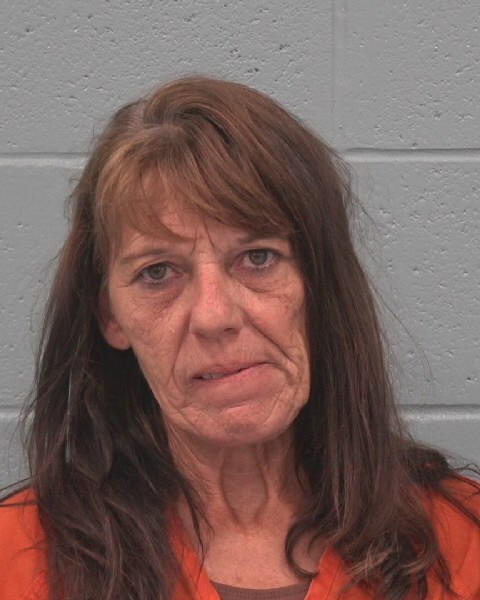 Mugshot of MELISSA CANDICE LIPPMAN