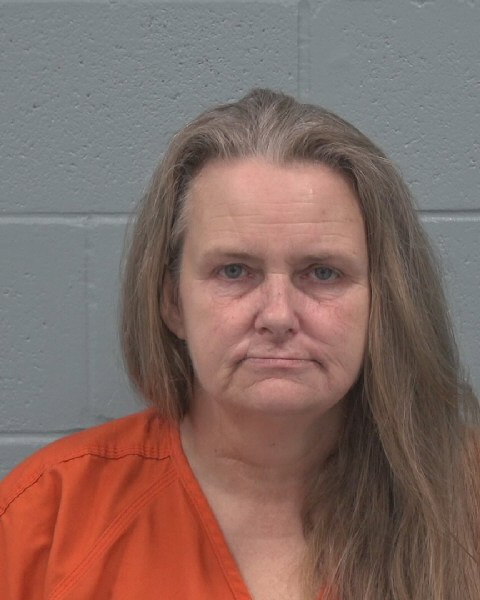 Mugshot of ROBIN CHERIE HOWELL