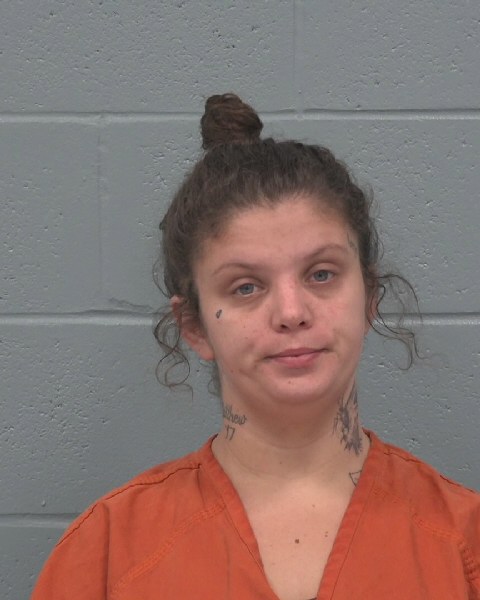 Mugshot of BROOK MCKAY CARPENTER