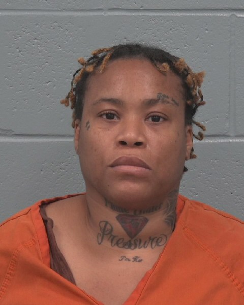 Mugshot of ANDREA LUTECE JOHNSON
