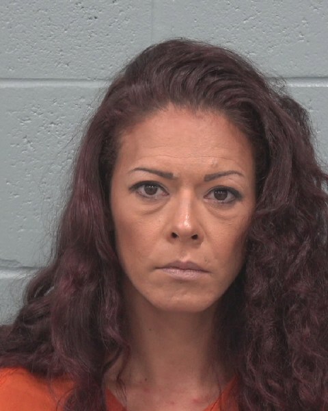 Mugshot of JESSICA BAILEY LEWIS