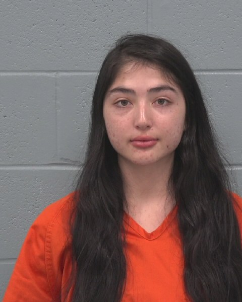 Mugshot of BROOKELYNN ROSE GILL
