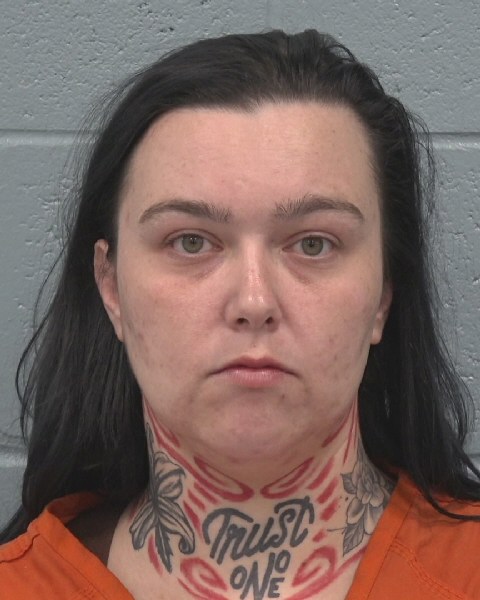 Mugshot of DESARAE ANN CIOCCA