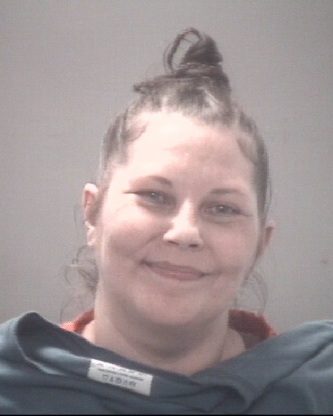 Mugshot of STEPHANIE LYN FLEMING