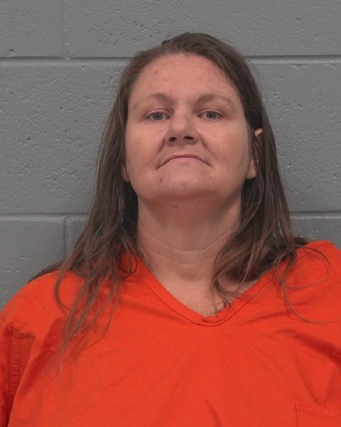 Mugshot of MELISSA LYNN CLARY