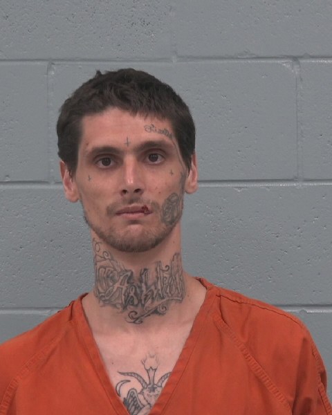 Mugshot of ROBERT ANDREW LEDWITH