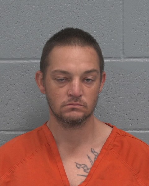 Mugshot of BRIAN ALLYN GEER
