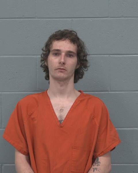 Mugshot of DALTON NICHOLIS LEE