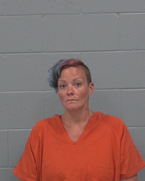Mugshot of STACY LIN CHANT