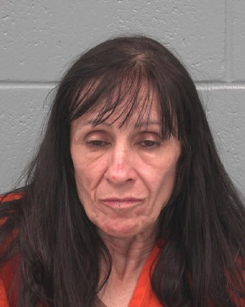 Mugshot of SUSAN MARIE JARRETT