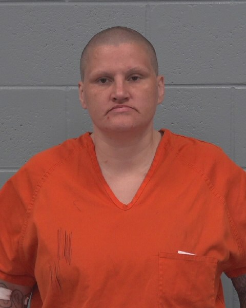 Mugshot of JULIET MARIE VIOLETTE
