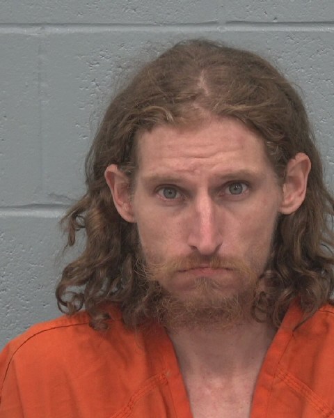 Mugshot of THOMAS ANTHONY LEWIS