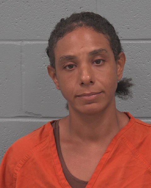 Mugshot of JENNIFER LEE LYDAY