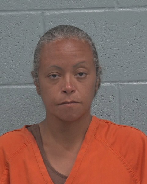 Mugshot of TANIA ANA RAMOS