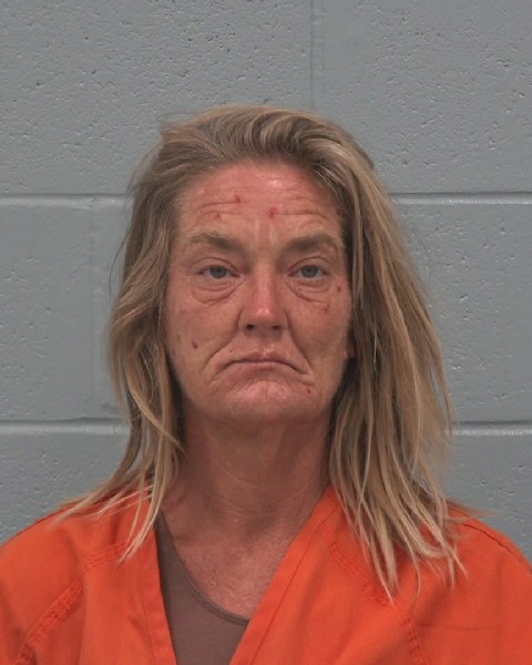 Mugshot of JULIE ANN ROTH