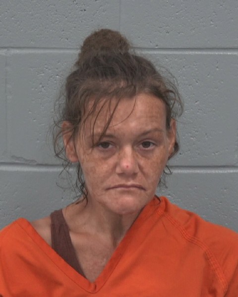 Mugshot of SHANA LEIGH BARRY