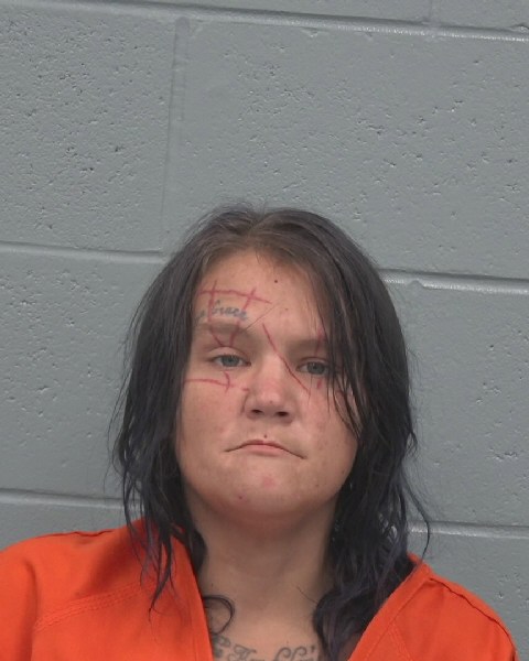 Mugshot of VANESSA MARBREY