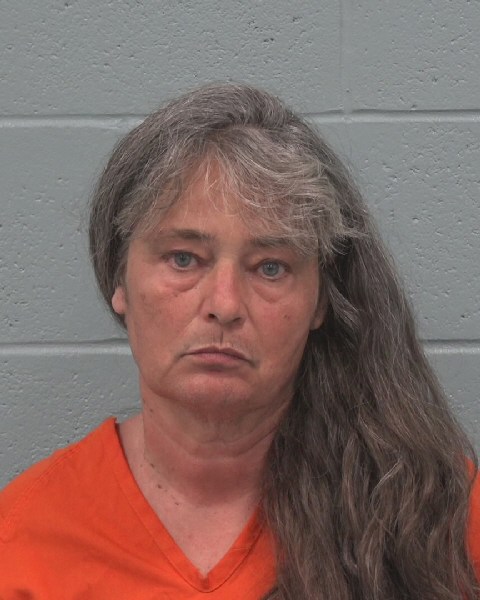 Mugshot of IRENE MARIE WELCH