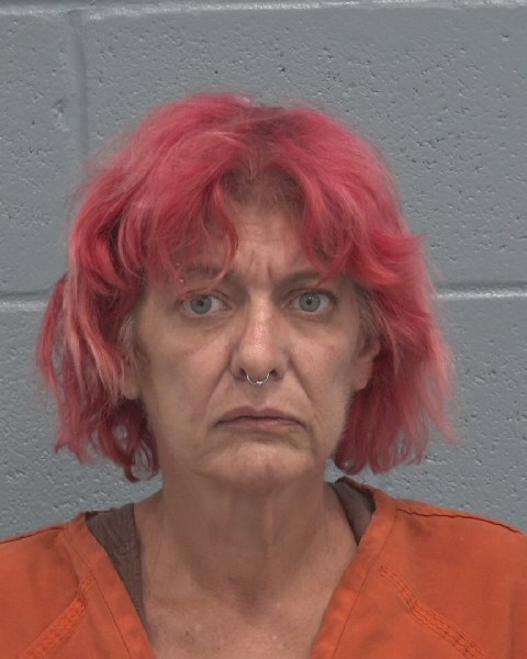 Mugshot of LORI LYNNE DAILEY