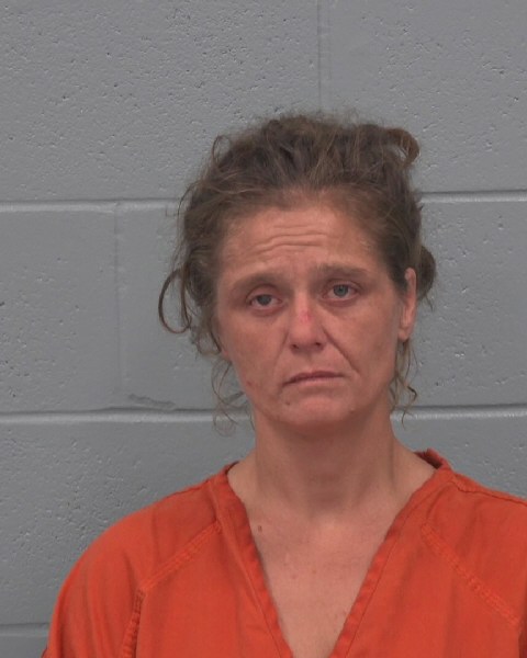 Mugshot of JANIE LOUISE FUDGE