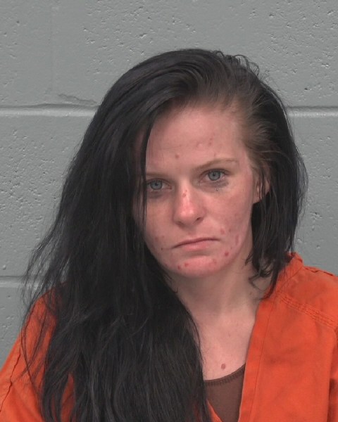 Mugshot of SONJA RAY WELLS