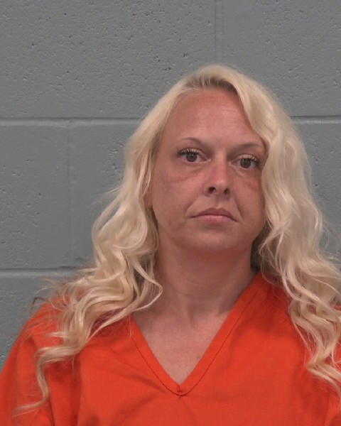Mugshot of ASHLEY NICOLE DAVIDSON