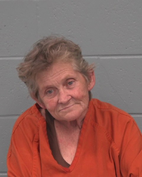 Mugshot of TERESA DIANE KOSCH