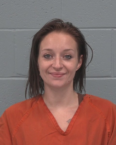Mugshot of VANESSA RILEY CRIBBS